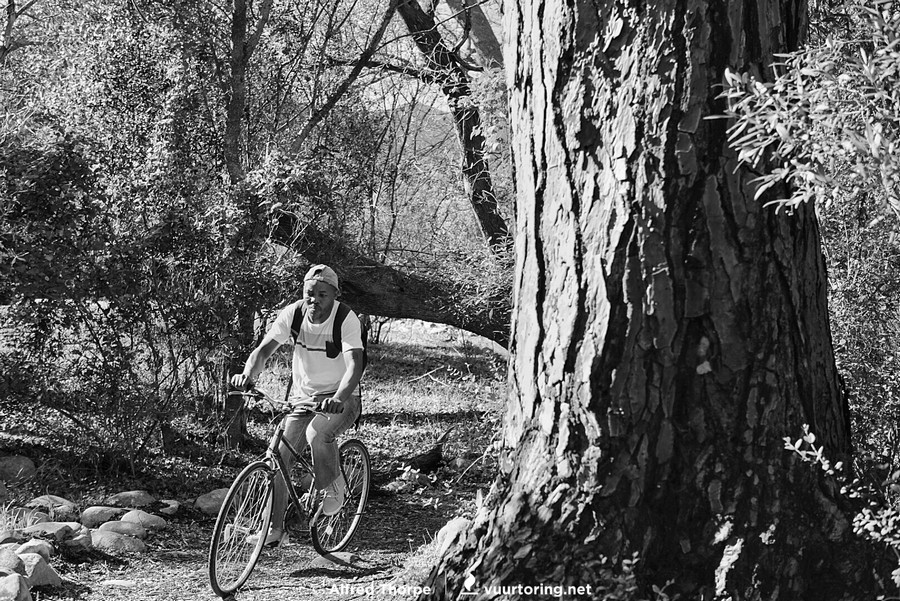 #cycleStellenbosch